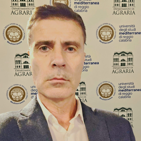 GULLO GREGORIO ANTONIO MARIA