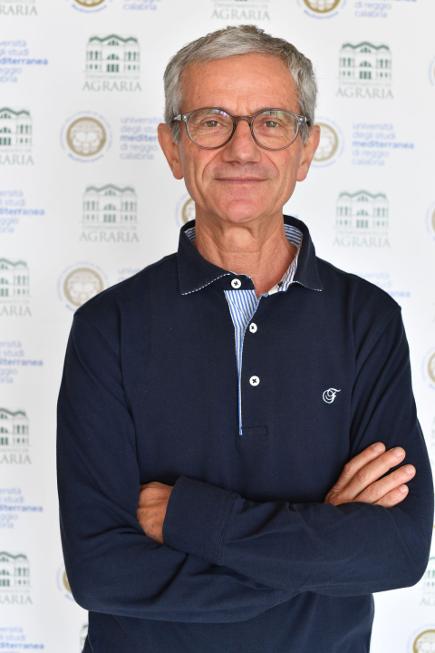 PICONE  CHIODO Alfonso